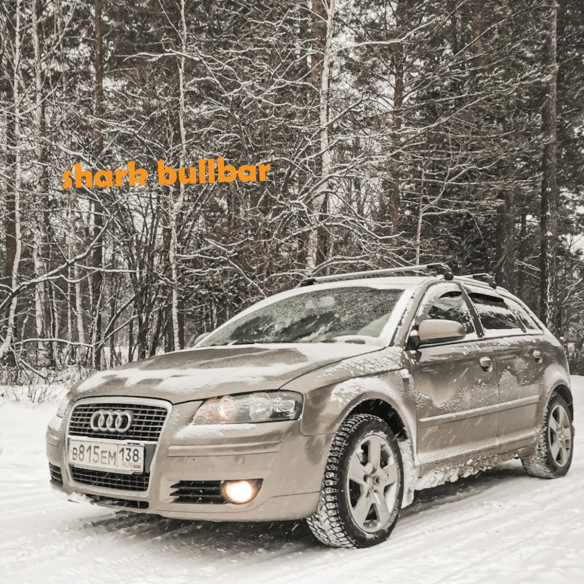 AUDI A3 SPORTBACK (8P) 2004-2012 5dr Raised Rails Air2 Bars